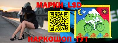 ECSTASY Камышлов