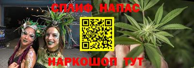 ECSTASY Камышлов